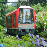 Hakone Kamakura Pass
